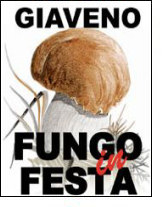 Festa del Fungo 2008